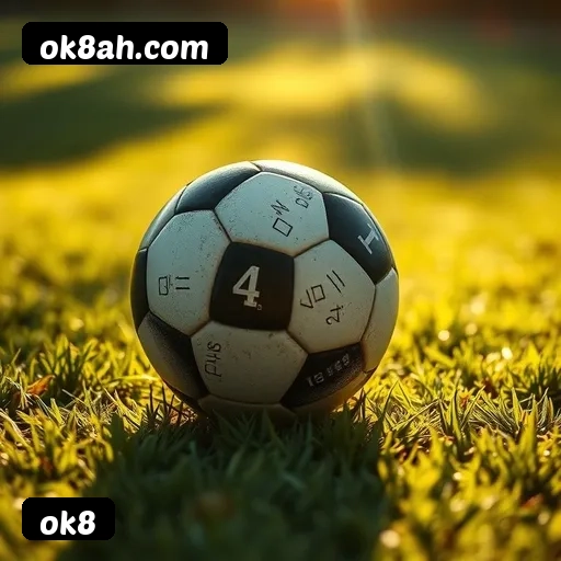 Requisitos do APK da ok8 para Android